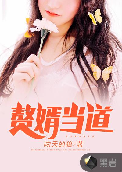上门女婿岳风柳萱