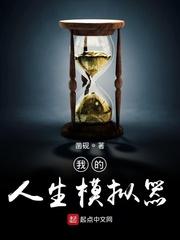我的人生模拟器中国人生