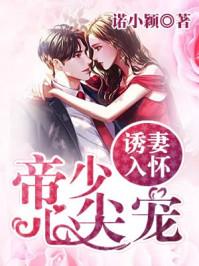 今夜星辰似你傅夜沉诺筱颖免费阅读