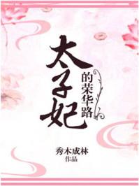 太子妃的荣华路讲什么