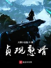 贞观憨婿 6