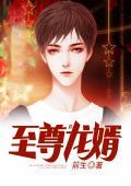 至尊龙婿短剧免费观看