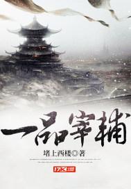 一品宰相倾天下免费