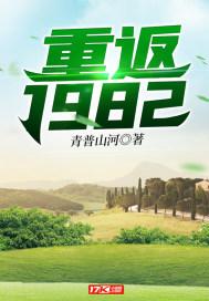 重返1982张本民txt