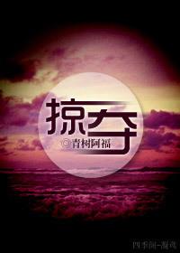 掠夺英文