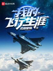我的飞行之旅作文