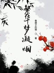 繁华如梦渺全部