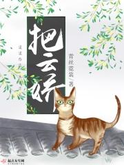 把云娇的主要内容