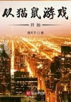 猫鼠游戏动漫