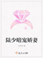 陆少宠妻入骨 免费阅读