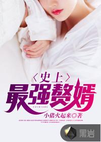 史上最强赘婿境界划分