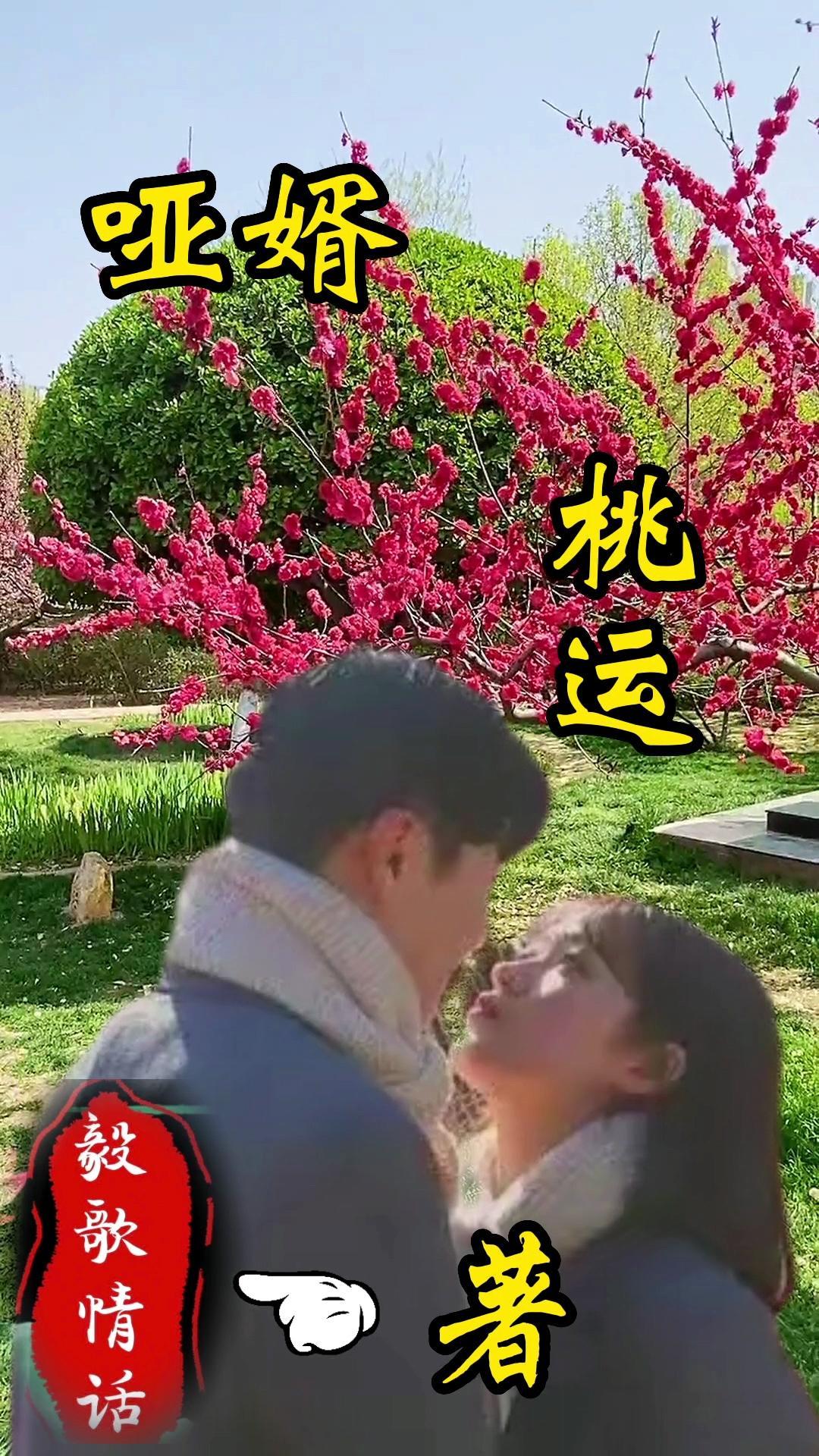 哑妻免费观看
