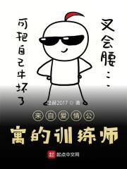 爱情公寓 引人入胜