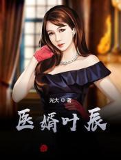 医婿叶辰全目录