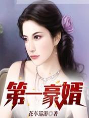 第一豪婿视频