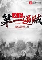 天下第一贼电影完整在线观看