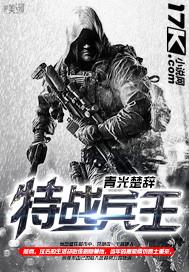 抗日野狼特战兵王