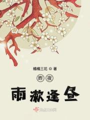昨夜雨疏风骤的下一句是什么