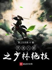 天龙八部之少林绝技在线观看