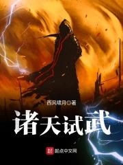 诸天试武顶点