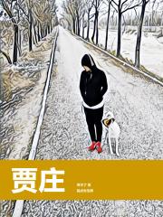 贾庄村