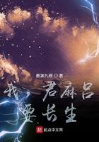 我君麻吕要长生女主有几个