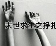 末世求生之王