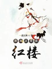 原来这里是红楼哪里能看