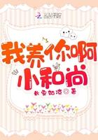 宋家小祖宗她人美路子野长安姑娘