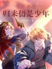 全职高手哪一章回归职业联赛