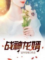 战神龙婿几个女主