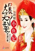 替嫁丫鬟古言