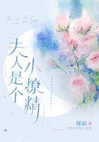 夫人是个小公主全本免费阅读
