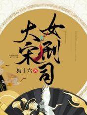大宋女刑司电视剧