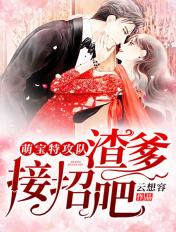 萌宝特攻队渣爹