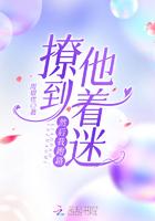 撩到她腿软免费阅读