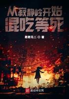 穿越寂静岭的无限