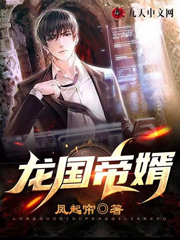 龙国帝婿多长时间完结