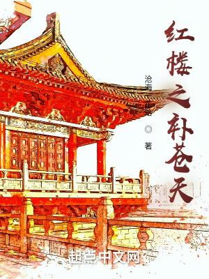 红楼之补苍天 txt