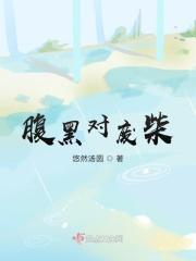 腹黑对腹黑的