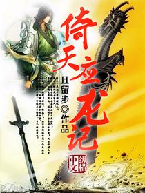 高圆圆版的倚天应龙记