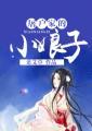 屠户家的小娘子结局是什么