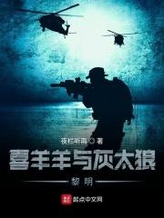 喜羊羊与灰太狼中