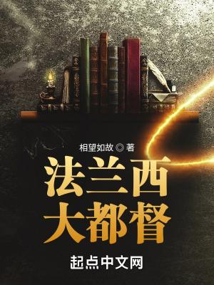 法兰西大都督txt