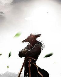 斗罗之武魂金乌风浩