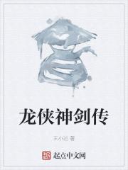 龙侠传奇