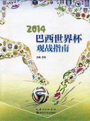 2014年巴西世界杯足球场