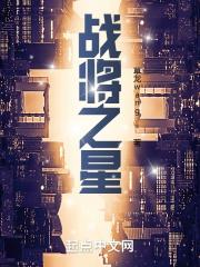 战将11