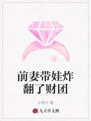 前妻带娃误上飞机名字