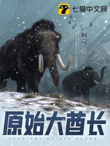 原始酋长写的